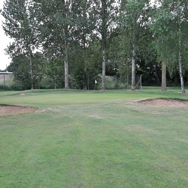 henlow golf club hole 15 image 1