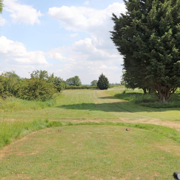 henlow golf course hole 12 image 1